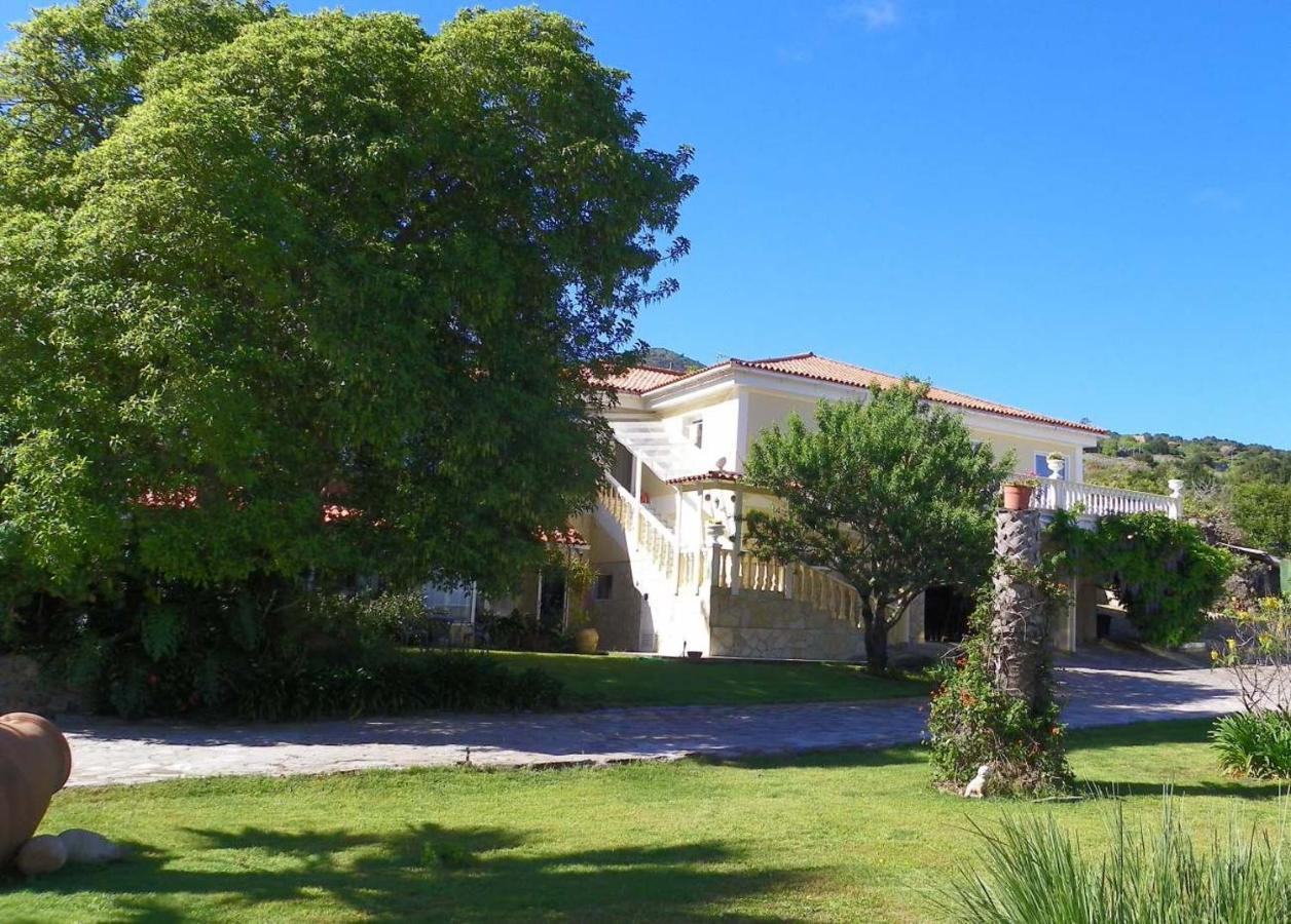 Casa-Palo-Pique Lägenhet Icod De Los Vinos Exteriör bild